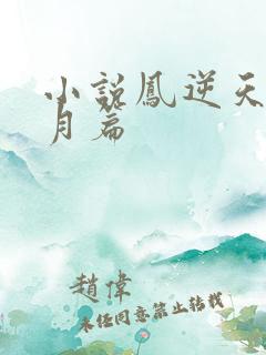 小说凤逆天下北月篇