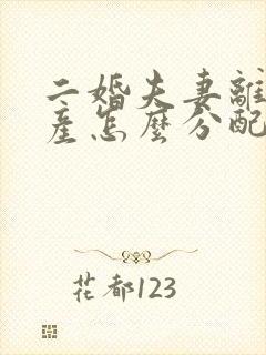 二婚夫妻离婚财产怎么分配的法律