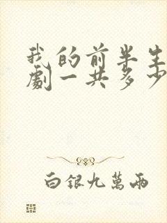 我的前半生电视剧一共多少集