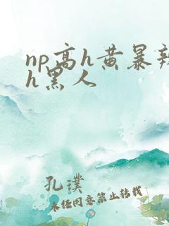 np高h黄暴辣h黑人
