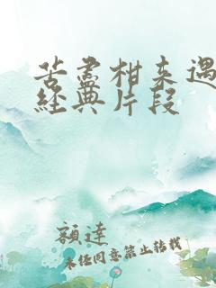 苦尽柑来遇见你经典片段