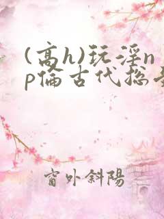(高h)玩淫np伦古代总受