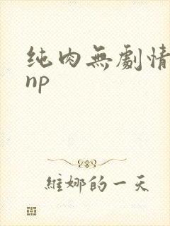 纯肉无剧情高hnp
