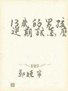 13岁的男孩叛逆期该怎么办