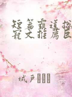 短篇霸道总裁甜宠文推荐巨甜