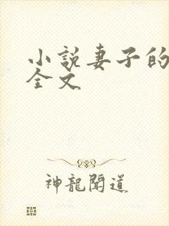 小说妻子的秘密全文