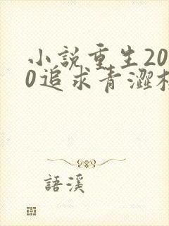 小说重生2000追求青涩校花同桌开始全文阅读