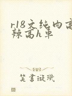 r18文纯肉高辣高h车