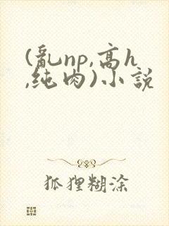 (乱np,高h,纯肉)小说