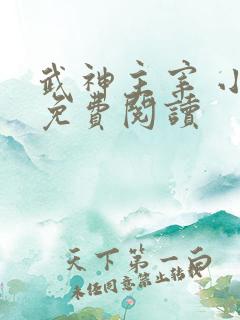 武神主宰 小说免费阅读