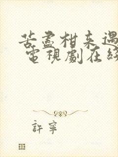 苦尽柑来遇见你 电视剧在线