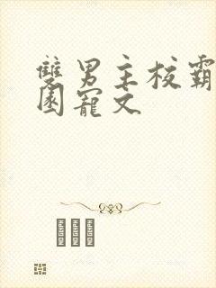 双男主校霸的校园宠文