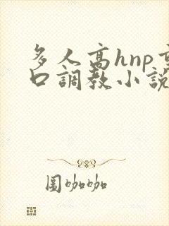 多人高hnp重口调教小说