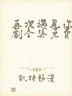 再次遇见你电视剧全集免费观看