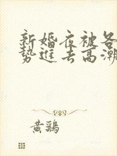 新婚夜被各种姿势进去高潮小说