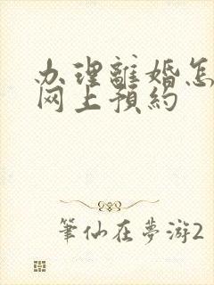 办理离婚怎么在网上预约