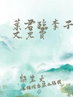 叶君临李子染全文免费