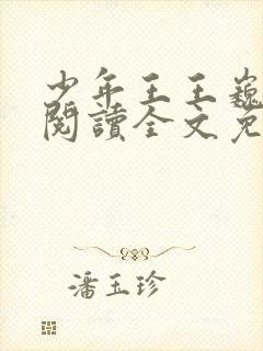 少年王王巍在线阅读全文免费