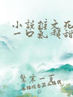 小说推文死对头一口气超甜