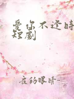 爱你不逢时免费短剧