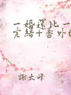 一婚还比一婚高完结+番外txt