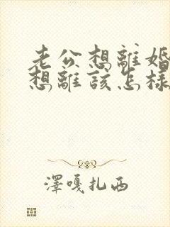 老公想离婚我不想离该怎样对付