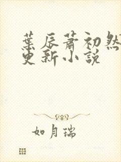 叶辰萧初然最快更新小说