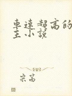 车速超高的双男主小说