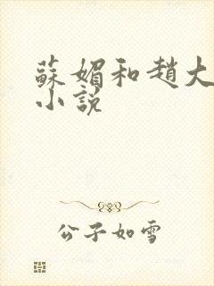 苏媚和赵大宝的小说