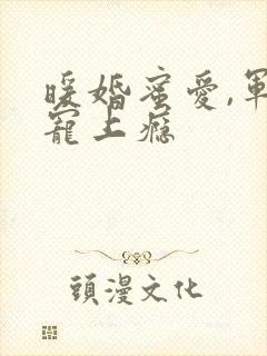 暖婚蜜爱,军官宠上瘾