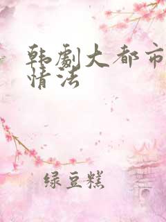 韩剧大都市的爱情法