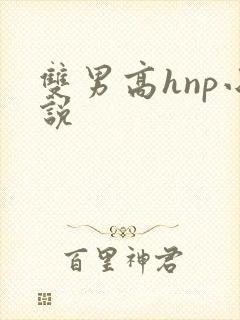 双男高hnp小说