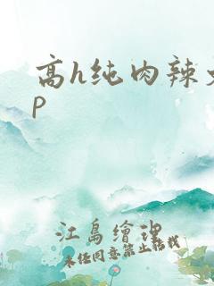 高h纯肉辣文np