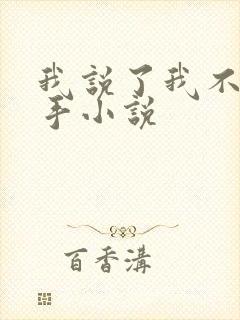 我说了我不是凶手小说