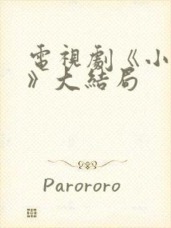 电视剧《小丈夫》大结局