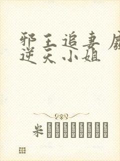 邪王追妻 废材逆天小姐