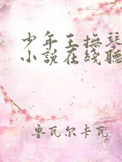 少年王抚琴的人小说在线听书网