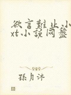 欲言难止小说txt小说网盘资源