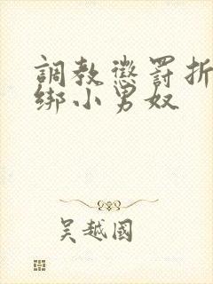 调教惩罚折磨捆绑小男奴