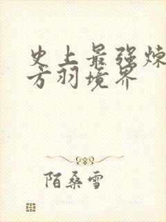 史上最强炼气期方羽境界