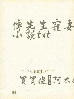 傅先生宠妻无度小说txt