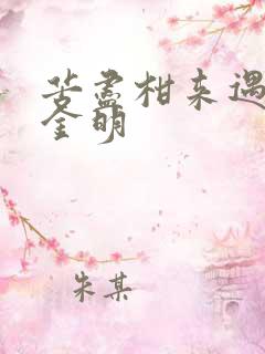 苦尽柑来遇见你金明