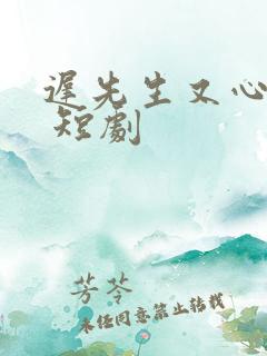 迟先生又心动了 短剧