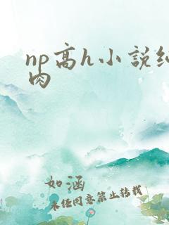 np高h小说纯肉