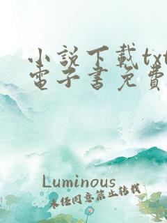 小说下载txt电子书免费下载网站