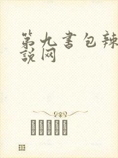 第九书包辣文小说网