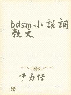 bdsm小说调教文