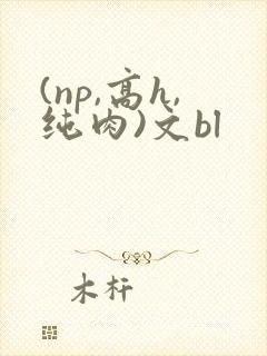 (np,高h,纯肉)文bl
