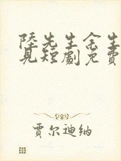 陆先生余生不再见短剧免费看