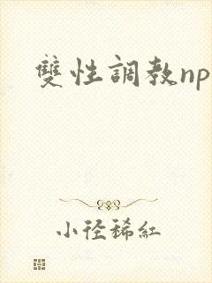 双性调教np文